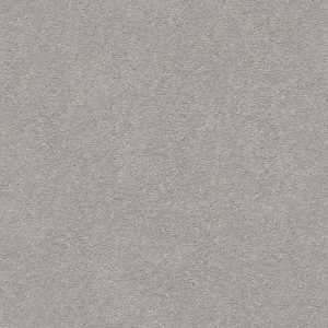 Shaw Floors Retail MONTAGE II - 00500 CLASSIC SILVER