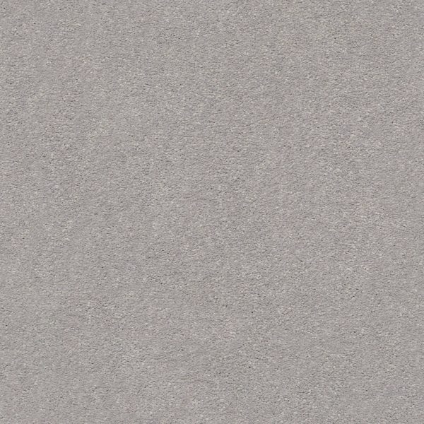 Shaw Floors Retail MONTAGE II - 00500 CLASSIC SILVER