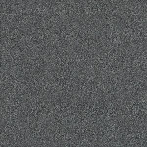 Shaw Floors Retail MONTAGE II - 00520 CARBON COPY