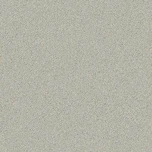 Shaw Floors Retail MONTAGE II - 00530 RIVER ROCK