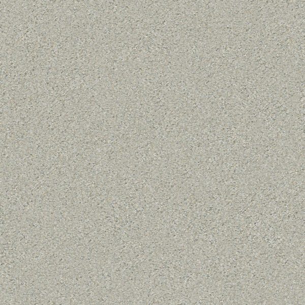Shaw Floors Retail MONTAGE II - 00530 RIVER ROCK