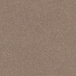 Shaw Floors Retail MONTAGE II - 00700 HIDDEN TREASURE