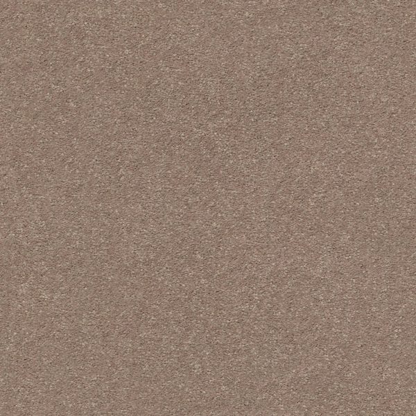 Shaw Floors Retail MONTAGE II - 00700 HIDDEN TREASURE