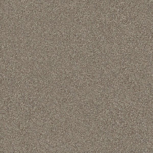 Shaw Floors Retail MONTAGE II - 00720 MIDTOWN BROWN