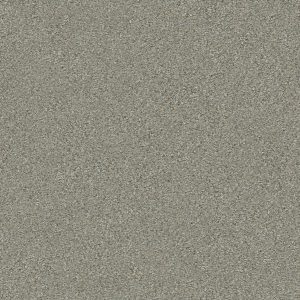 Shaw Floors Retail MONTAGE II - 00740 TEMPTING TAUPE