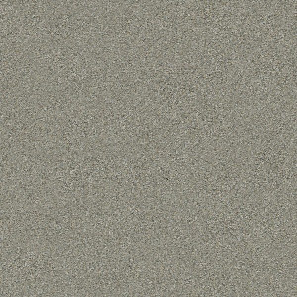Shaw Floors Retail MONTAGE II - 00740 TEMPTING TAUPE