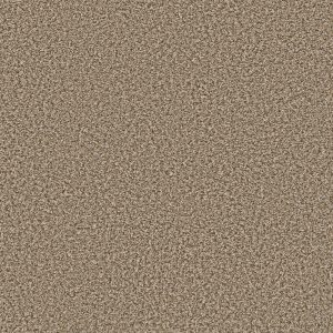 Shaw Floors Value BREAK AWAY (B) - 00110 BURLAP