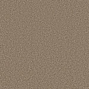 Shaw Floors Value BREAK AWAY (B) - 00111 SUEDE BUFF