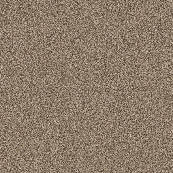 Shaw Floors Value BREAK AWAY (B) - 00111 SUEDE BUFF