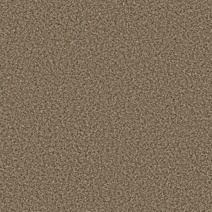 Shaw Floors Value BREAK AWAY (B) - 00112 SAFARI