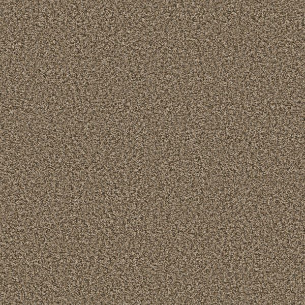 Shaw Floors Value BREAK AWAY (B) - 00112 SAFARI