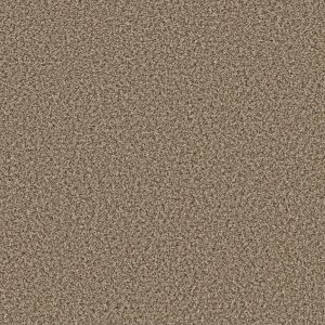 Shaw Floors Value BREAK AWAY (B) - 00113 STEPPING STONE