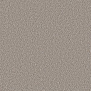 Shaw Floors Value BREAK AWAY (B) - 00130 CANVAS