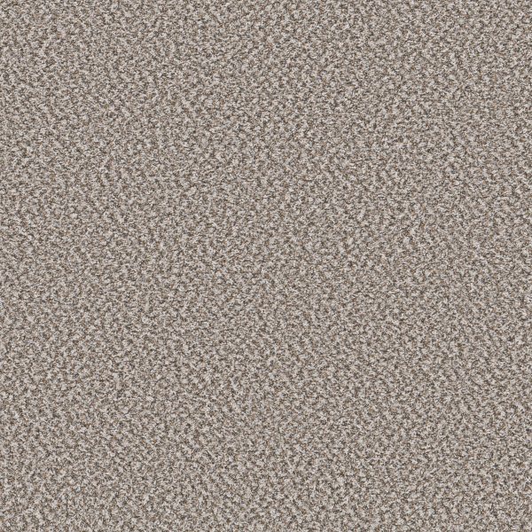 Shaw Floors Value BREAK AWAY (B) - 00130 CANVAS