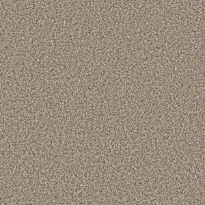 Shaw Floors Value BREAK AWAY (B) - 00132 SUGAR COOKIE