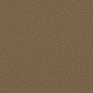 Shaw Floors Value BREAK AWAY (B) - 00211 WICKER