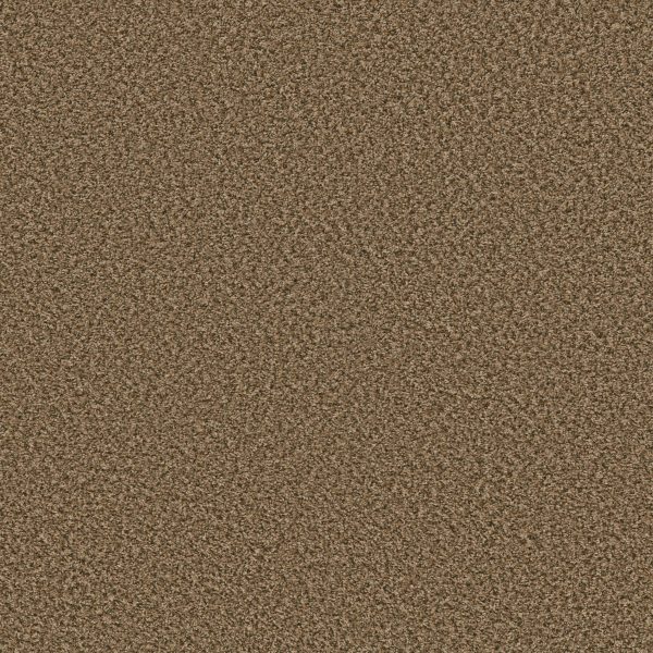 Shaw Floors Value BREAK AWAY (B) - 00211 WICKER
