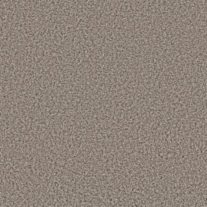 Shaw Floors Value BREAK AWAY (B) - 00500 DOLPHIN
