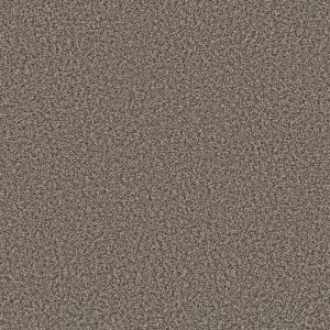 Shaw Floors Value BREAK AWAY (B) - 00501 BOULDER