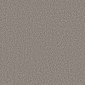 Shaw Floors Value BREAK AWAY (B) - 00530 CLAM SHELL