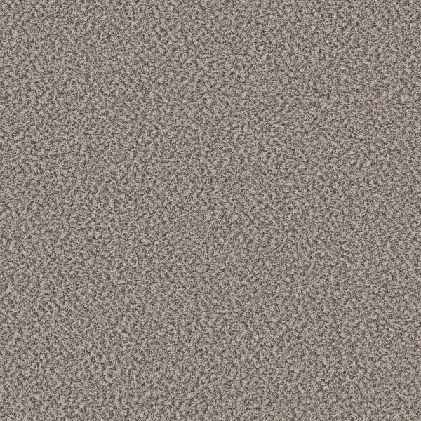 Shaw Floors Value BREAK AWAY (B) - 00530 CLAM SHELL