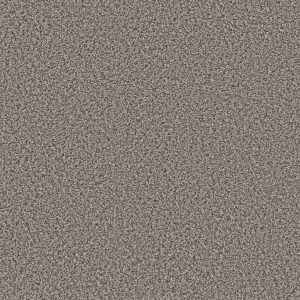 Shaw Floors Value BREAK AWAY (B) - 00531 FOSSIL