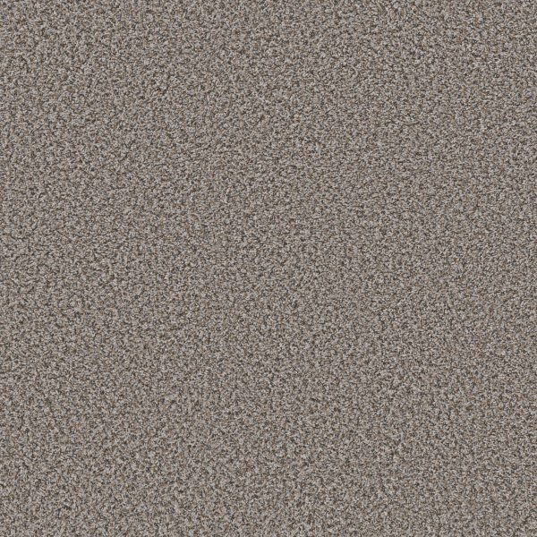 Shaw Floors Value BREAK AWAY (B) - 00531 FOSSIL