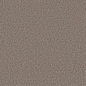Shaw Floors Value BREAK AWAY (B) - 00532 SWEET TAUPE