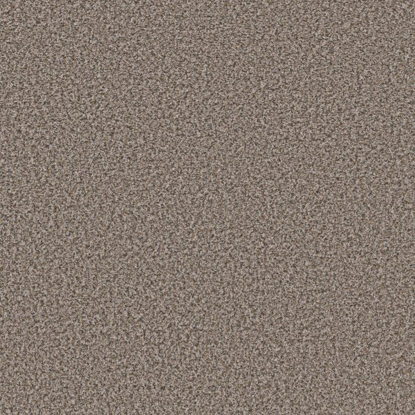 Shaw Floors Value BREAK AWAY (B) - 00532 SWEET TAUPE