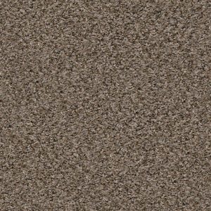 Shaw Floors Value BREAK AWAY (B) - 00710 PIER WALK