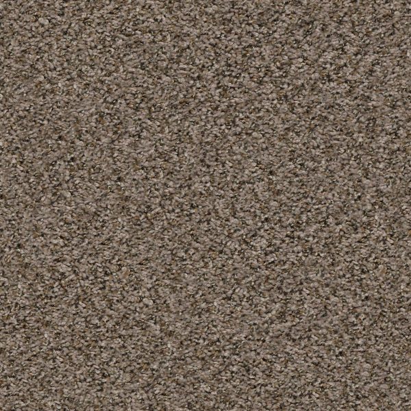 Shaw Floors Value BREAK AWAY (B) - 00710 PIER WALK