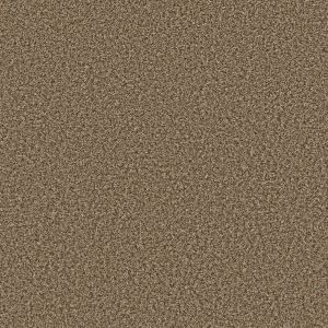 Shaw Floors Value BREAK AWAY (B) - 00711 DESERT