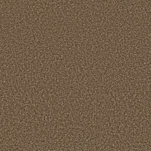 Shaw Floors Value BREAK AWAY (B) - 00712 GOOD EARTH