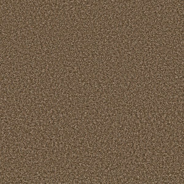Shaw Floors Value BREAK AWAY (B) - 00712 GOOD EARTH