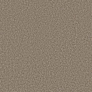 Shaw Floors Value BREAK AWAY (B) - 00730 TOAST