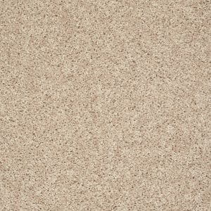Shaw Floors Value BREAK AWAY (S) - 74100 GENTLE BREEZE