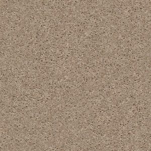 Shaw Floors Value BREAK AWAY (S) - 00102 WHEAT FIELD