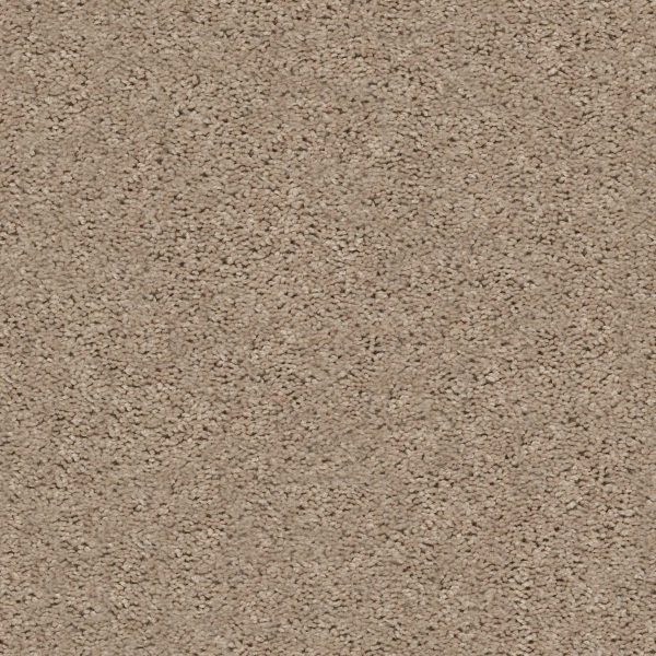 Shaw Floors Value BREAK AWAY (S) - 00102 WHEAT FIELD