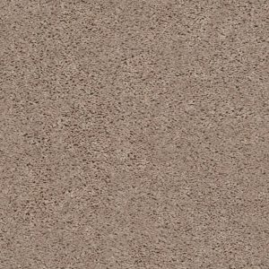 Shaw Floors Value BREAK AWAY (S) - 00106 WARM SAND