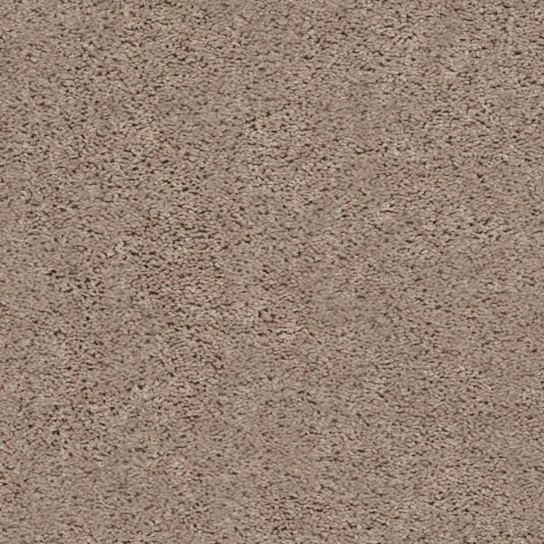 Shaw Floors Value BREAK AWAY (S) - 00106 WARM SAND