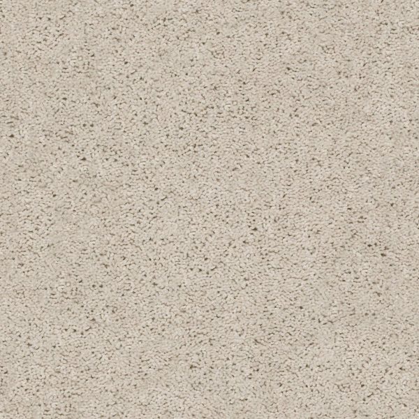 Shaw Floors Value BREAK AWAY (S) - 00110 WINTER WHITE