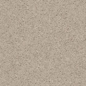 Shaw Floors Value BREAK AWAY (S) - 00111 ECRU