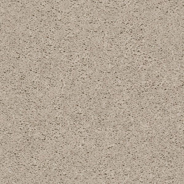 Shaw Floors Value BREAK AWAY (S) - 00111 ECRU