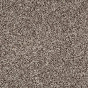 Shaw Floors Value BREAK AWAY (S) - 74502 CHARCOAL
