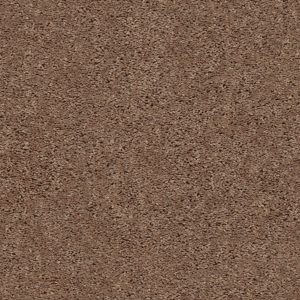 Shaw Floors Value BREAK AWAY (S) - 00701 CLAY