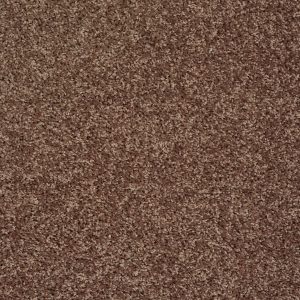Shaw Floors Value BREAK AWAY (S) - 74704 MOCHA
