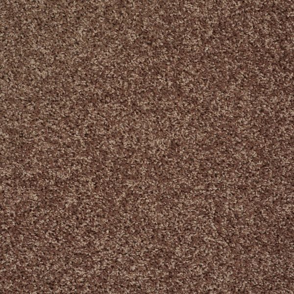 Shaw Floors Value BREAK AWAY (S) - 74704 MOCHA