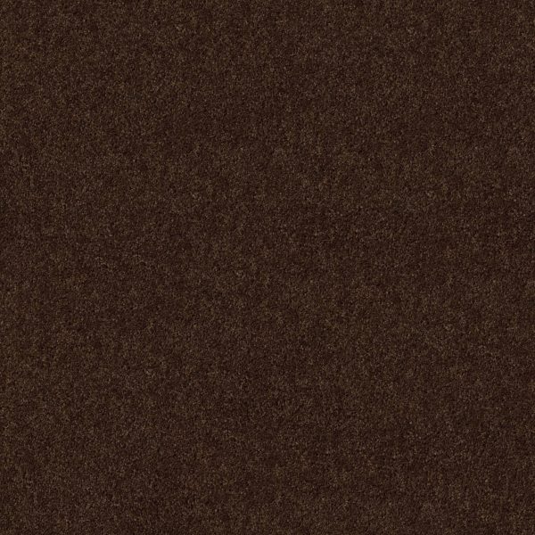 Shaw Floors Value BREAK AWAY (S) - 00705 COFFEE BEAN