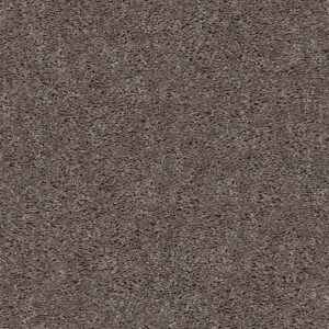 Shaw Floors Value BREAK AWAY (S) - 00710 WEATHERED WOOD