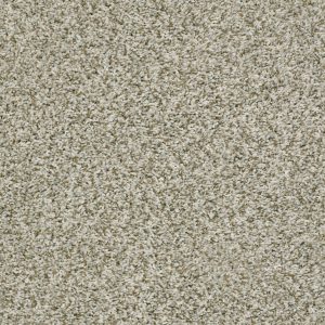 Shaw Floors Value BREAK AWAY (T) - 00110 BUFF